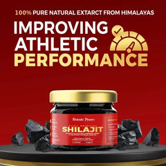 Gilgat Mountain Shilajit - Habshi Power