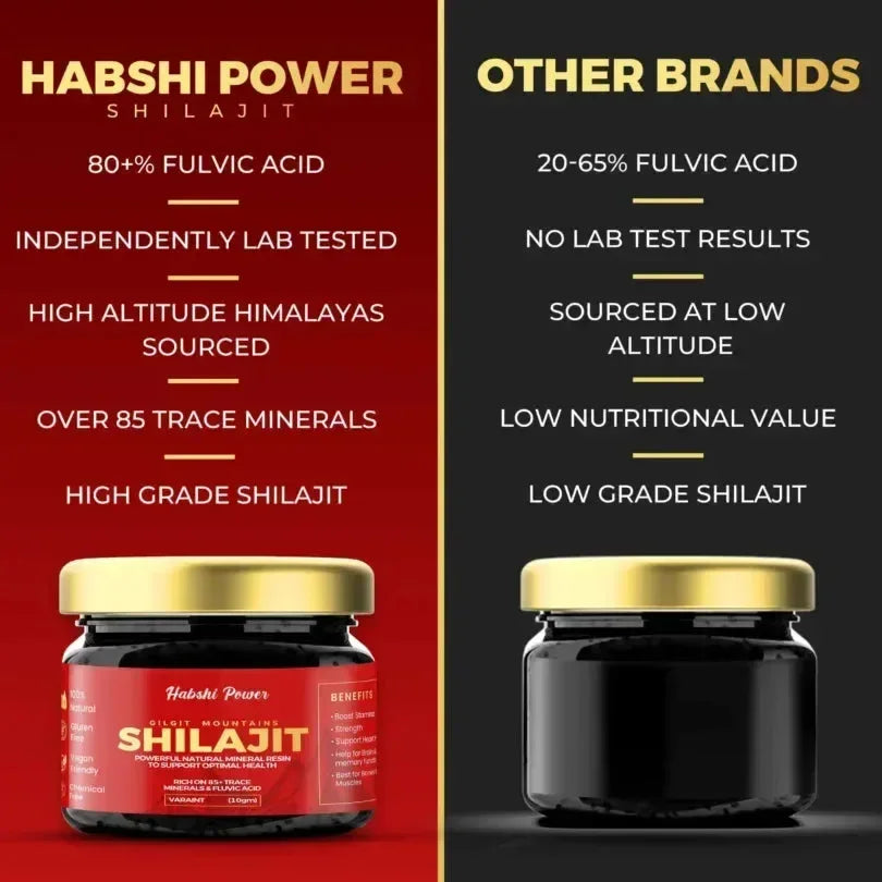Gilgat Mountain Shilajit - Habshi Power