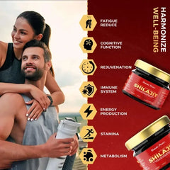 Gilgat Mountain Shilajit - Habshi Power