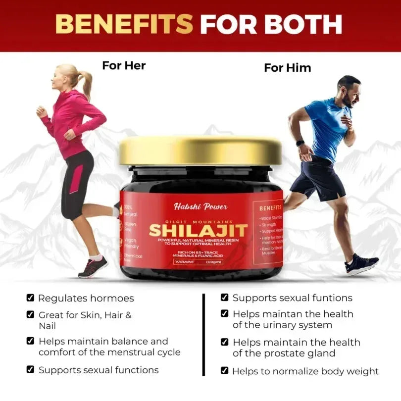 Gilgat Mountain Shilajit - Habshi Power